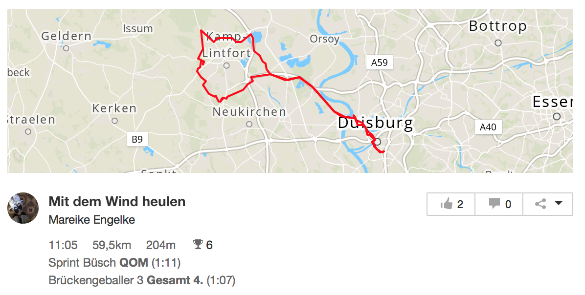 Bild zu: Anfängerübermut auf der Katzentour