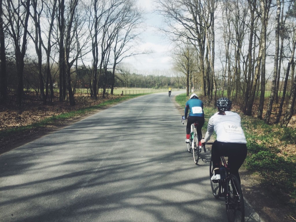 Bild zu: Flamingos im Peloton