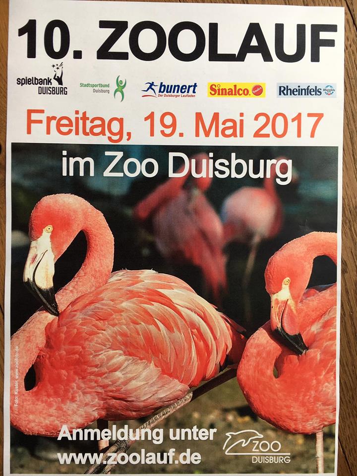 Bild zu: Läuft für die Flamingos