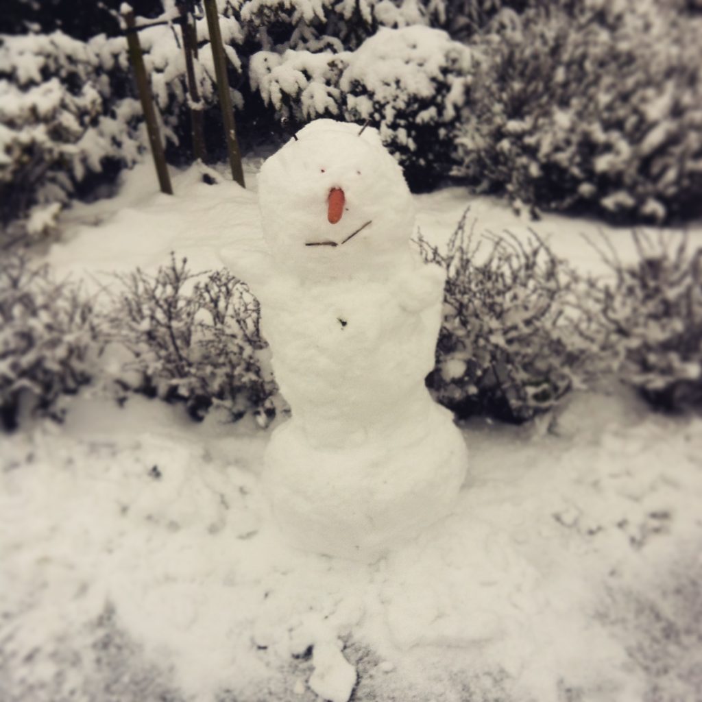 Bild zu: Überwintern mit den Radflamingos. Teil 4. Spekulatius-Stupor.