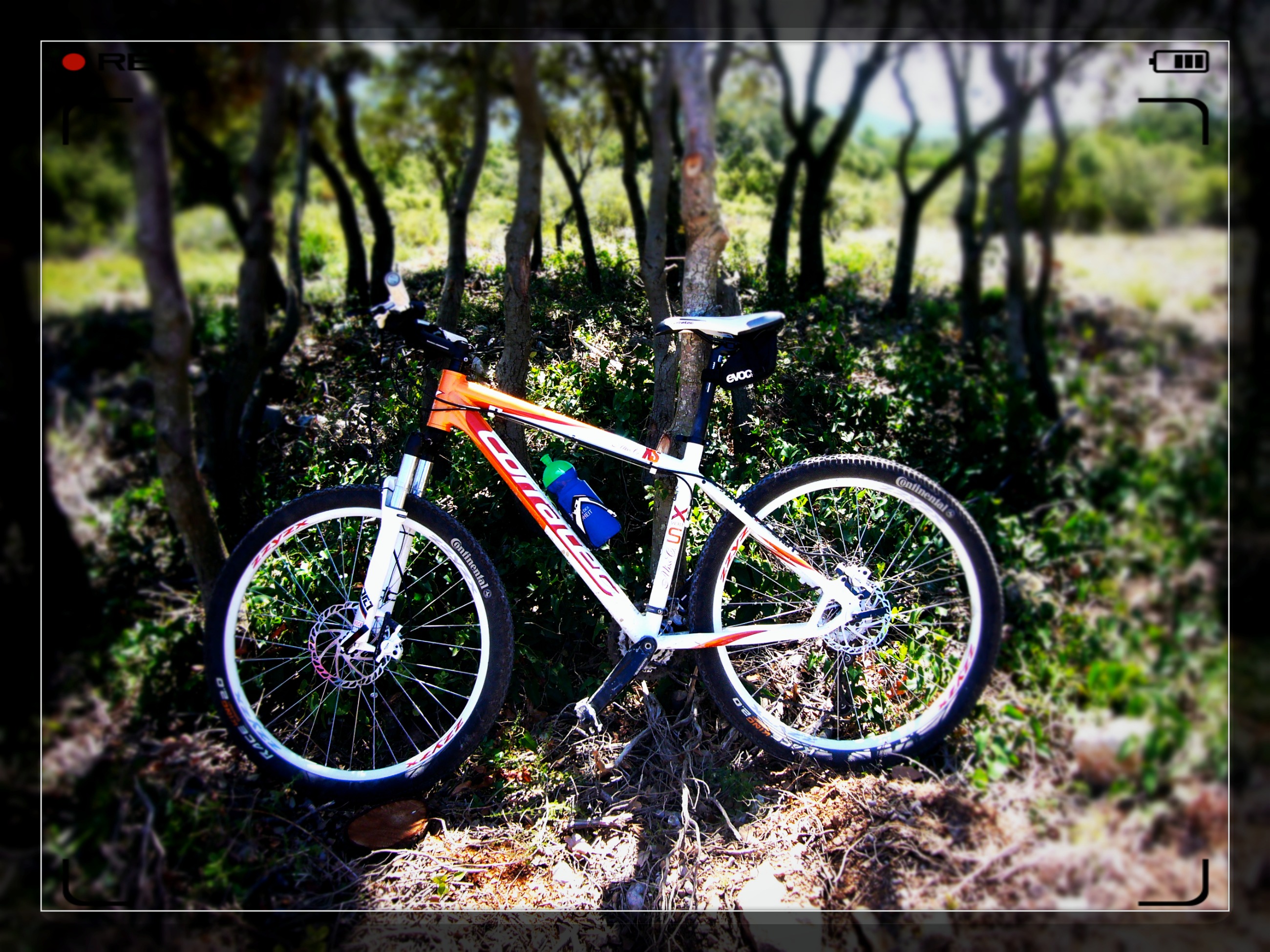 Bild zu: Gestatten, Schnurri 2